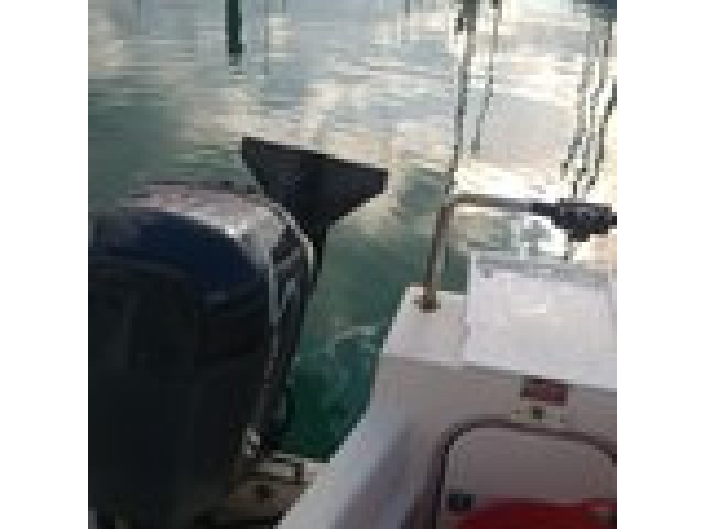 Bayliner 2002WA (2014) For Sale