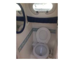 Lema Gold (2003) For Sale
